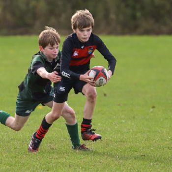 Junior Rugby